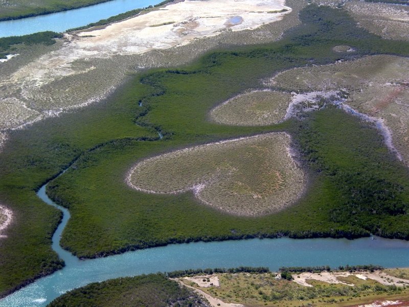 Earth From The Air